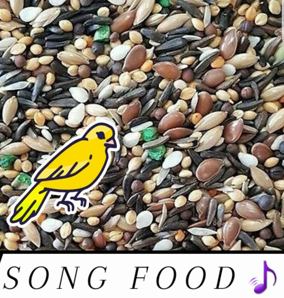Canary Song Food Treat For Canaries Fresh!!! From Bulk Choose Size!!!